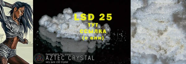 PSILOCYBIN Балабаново